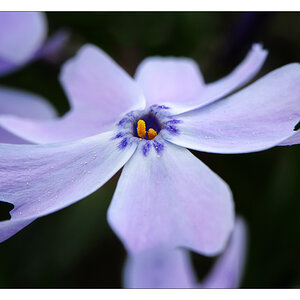 2013 05 05 DSC 7603 w