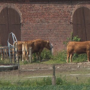 20130614 1588 [NIKON D7100] 135 mm,1 640 Sek. bei ƒ   5,6