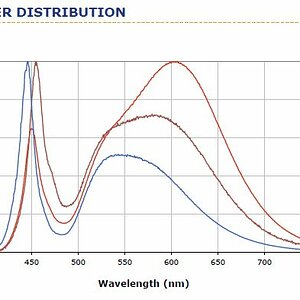 Cree Spectrum
