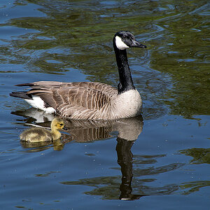 20130509 DSC 1562 Bearbeitet
