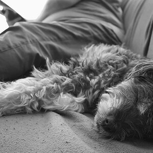 sonntag sofa