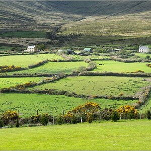 dingle1