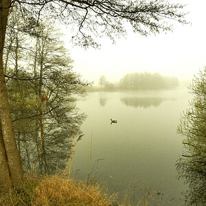 nebelsee
