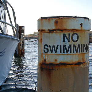 no swimming