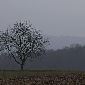 20090302 144113 ps