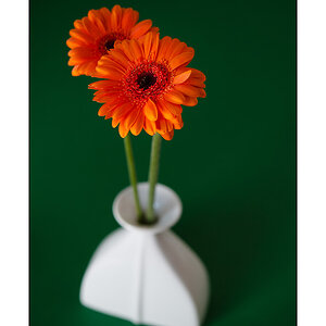Orange Blume in weisser Vase 2