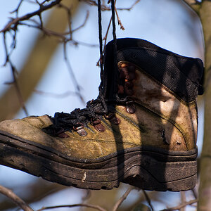 20090307 DSC 0046