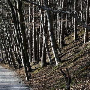 20090410 160842 Muehltal