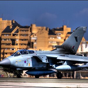 bird 3 2 1 forum