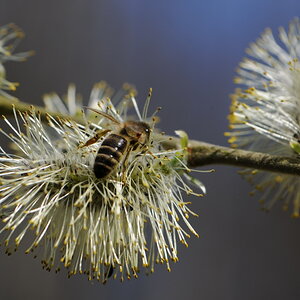 Bild 05