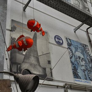 Nemo hat sich verirrt..........