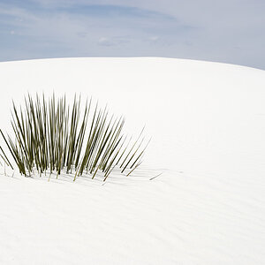 White Sands Nationalpark (New Mexico)