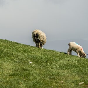 20130511 9243 [E M5] 100 mm,1 1250 Sek. bei ƒ   5,0