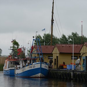 D81 6460 klein