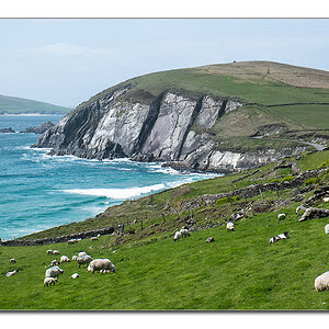dingle2