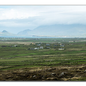 Dinglepano1