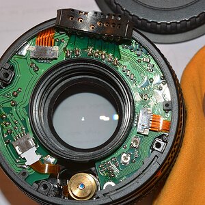 DSC 8020