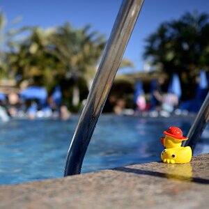 Ab ins Wasser