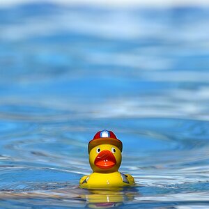 Schwimmen