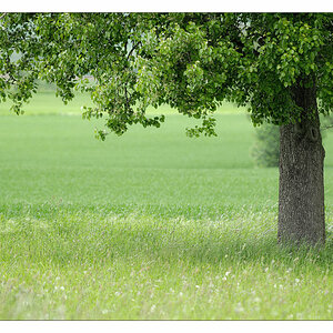 2013 05 18 DSC 7676 w