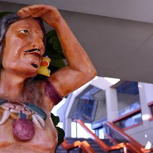 Versteck spielen – wetten, dass er mich nicht sieht?