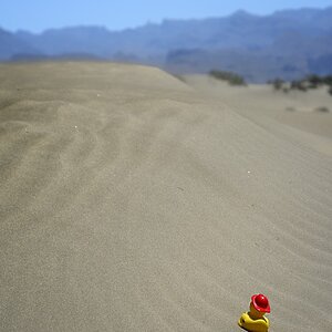 Ein Ausflug in die Natur