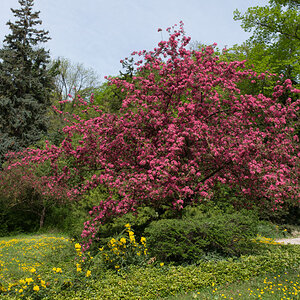 kurpark