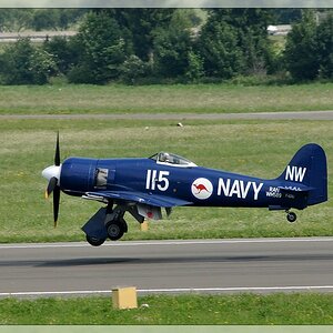 Hawker Sea Fury - 02