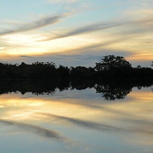 Rupununi
bei Karanambu
5728