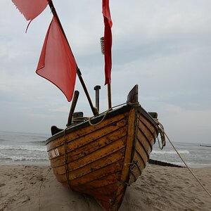 D81 6404 klein