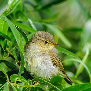 20130630 7052 [NIKON 1 V1] 280 mm,1 250 Sek. bei ƒ   6,3