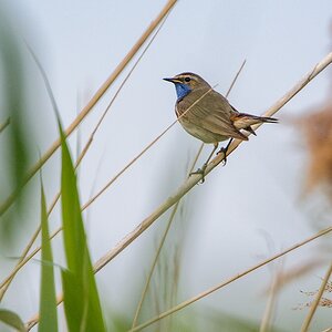 20130616 1909 [NIKON D7100] 850 mm,1 320 Sek. bei ƒ   7,1