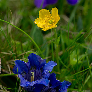 DSC 6817kws