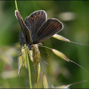 aufwachen
