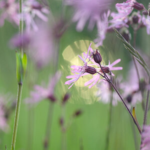 Bild7.4