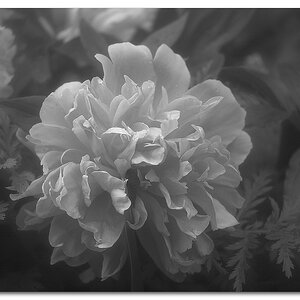 KR DSC 1934 R