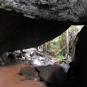 Felsformation
Iwokrama Rainforest
1275