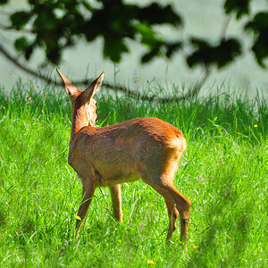 DSC 1669 khg