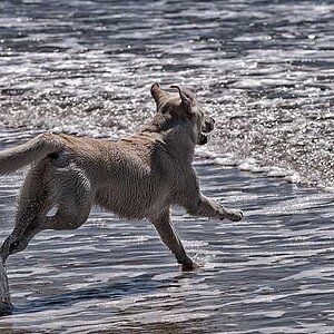 1306 ab ins Meer