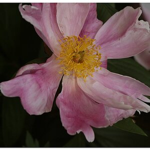 KR DSC 4738 R