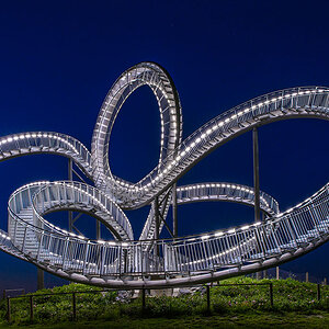 Tiger und Turtle 4