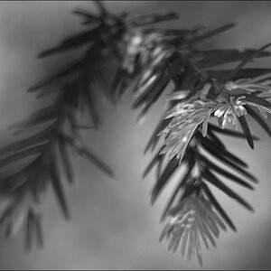 L1006015