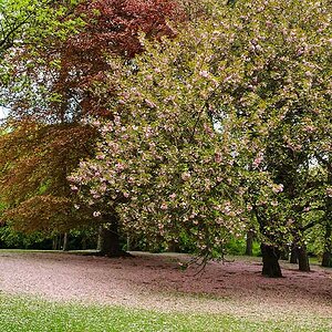 Parkfarben