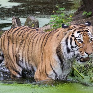 Zoo Duisburg
