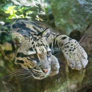 Zoo Duisburg