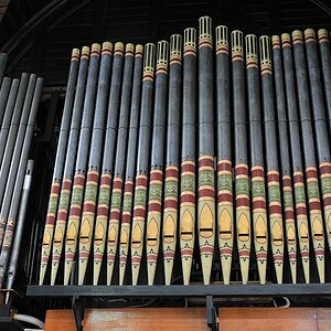 Orgel 3498