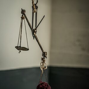 20130509 8640 [E M5] 45 mm,1 125 Sek. bei ƒ   1,8