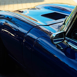 classics L1000553