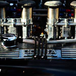 classics L1000534