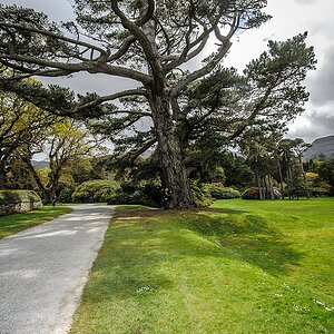20130509 5384 [NIKON 1 V1] 6.7 mm,1 400 Sek. bei ƒ   5,0